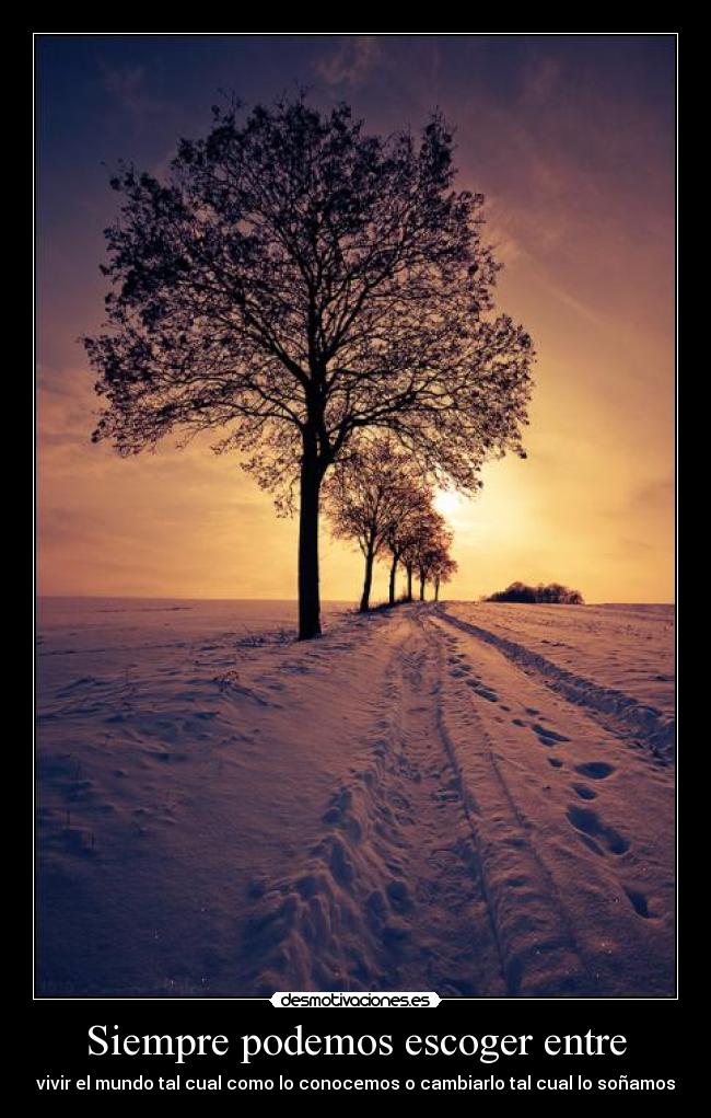Siempre podemos escoger entre - 