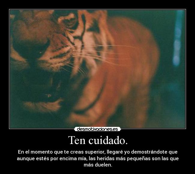 Ten cuidado. - En el momento que te creas superior, llegaré yo demostrándote que
aunque estés por encima mía, las heridas más pequeñas son las que
más duelen.