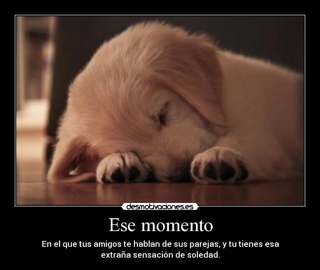 Ese momento - En el que tus amigos te hablan de sus parejas, y tu tienes esa
extraña sensación de soledad.