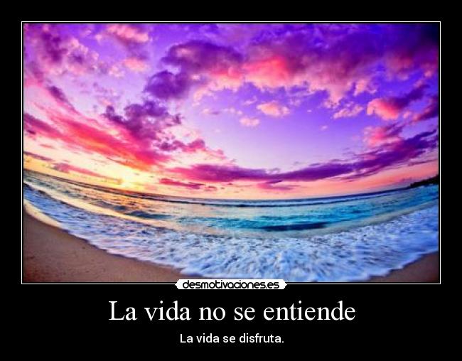 La vida no se entiende - La vida se disfruta.