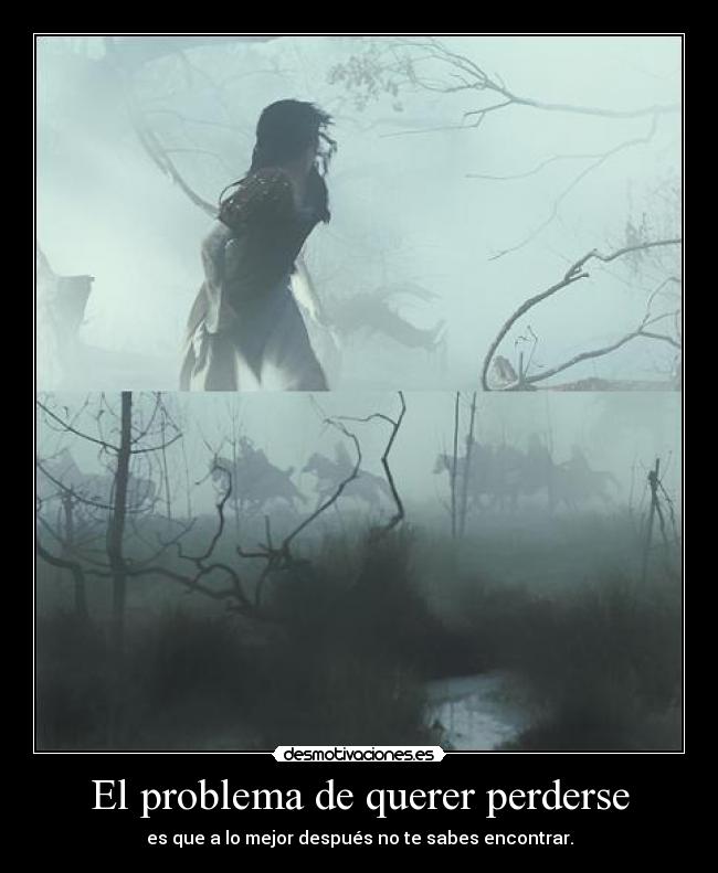 carteles caperucitaazul se que mierda pongo pero bueno desmotivaciones