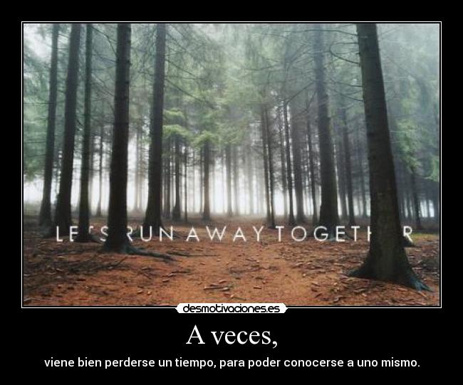 A veces, - viene bien perderse un tiempo, para poder conocerse a uno mismo.
