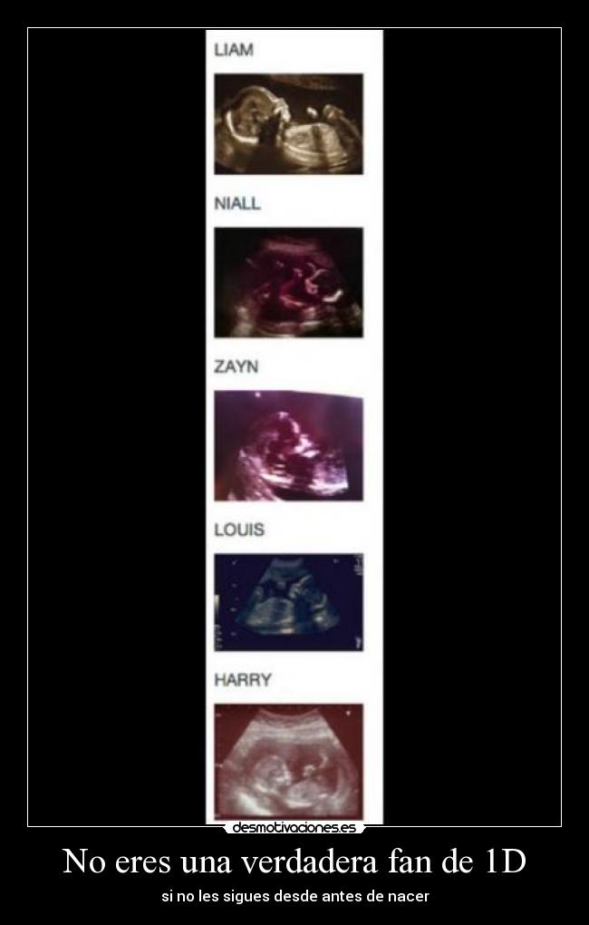 No eres una verdadera fan de 1D - si no les sigues desde antes de nacer