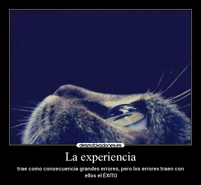 La experiencia -