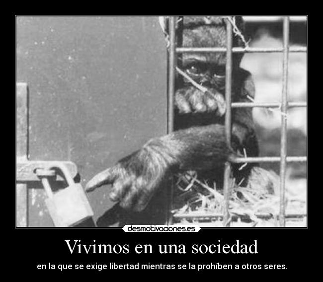 Vivimos en una sociedad -