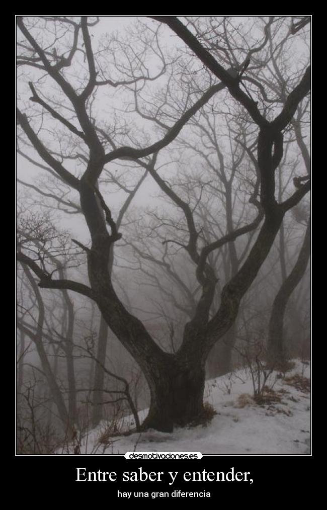 carteles tree desmotivaciones