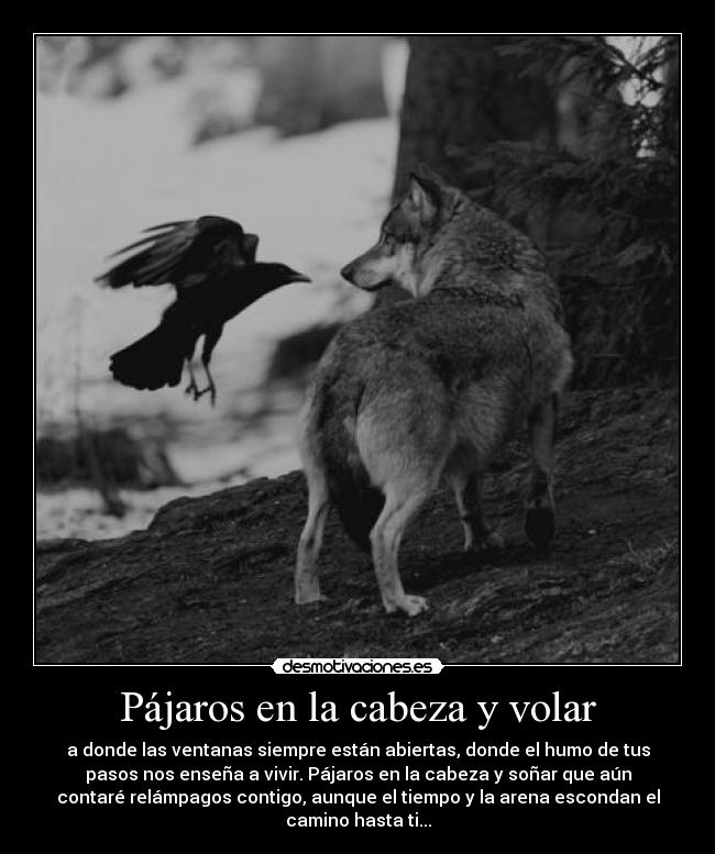 Pájaros en la cabeza y volar - a donde las ventanas siempre están abiertas, donde el humo de tus
pasos nos enseña a vivir. Pájaros en la cabeza y soñar que aún
contaré relámpagos contigo, aunque el tiempo y la arena escondan el
camino hasta ti...