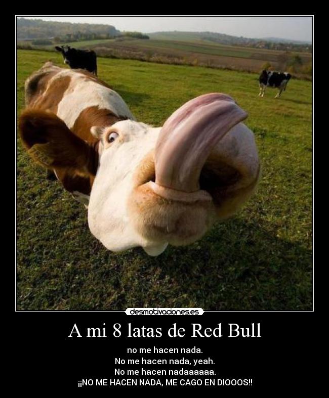 A mi 8 latas de Red Bull -
