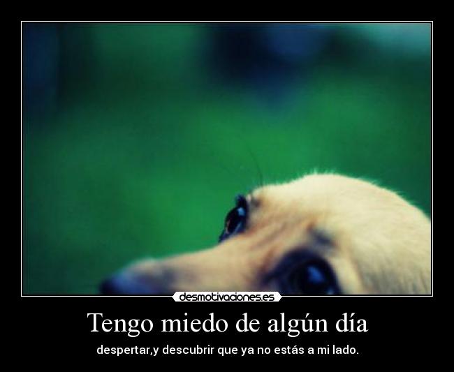 Tengo miedo de algún día - despertar,y descubrir que ya no estás a mi lado.