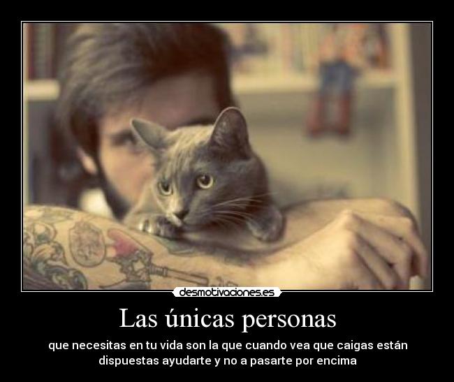 Las únicas personas - que necesitas en tu vida son la que cuando vea que caigas están
dispuestas ayudarte y no a pasarte por encima