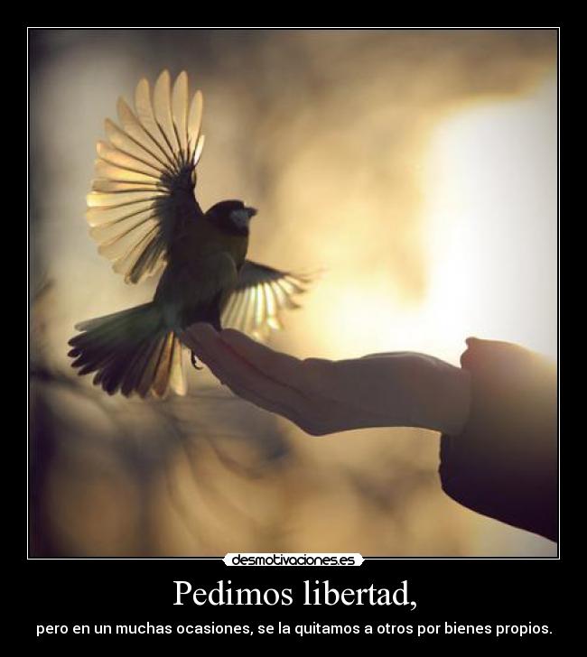 Pedimos libertad, -