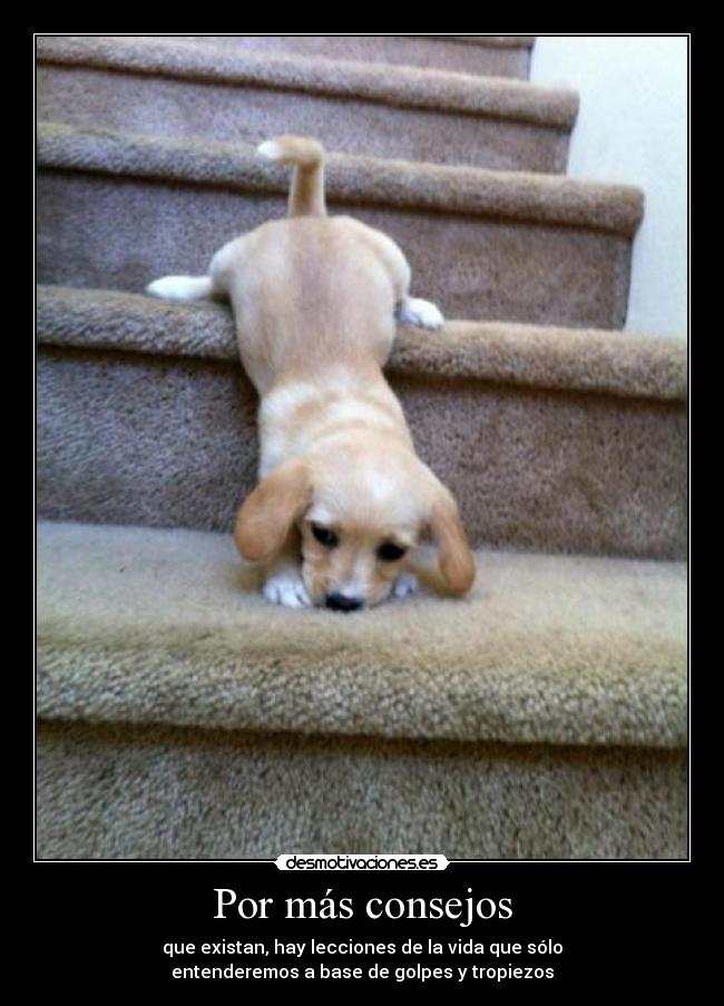 Por más consejos - 