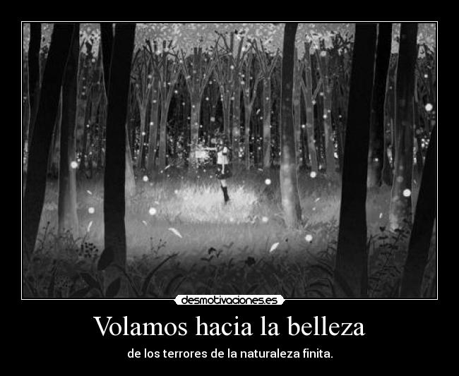 Volamos hacia la belleza -