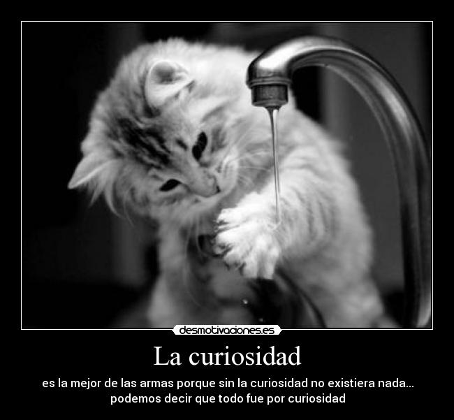 La curiosidad - 