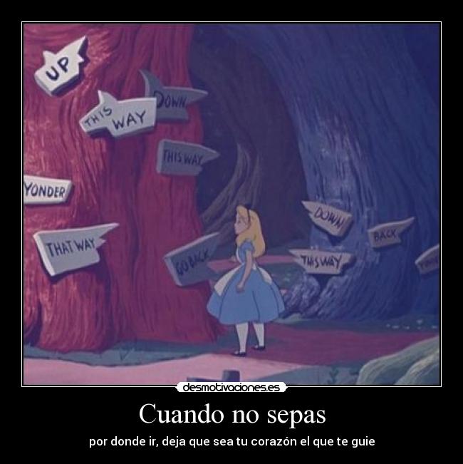 Cuando no sepas - por donde ir, deja que sea tu corazón el que te guie