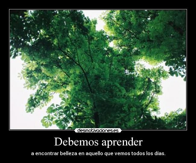 Debemos aprender - a encontrar belleza en aquello que vemos todos los días.