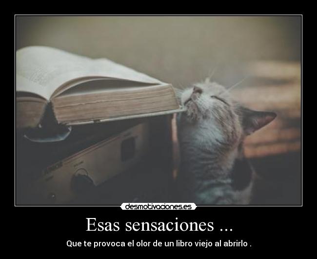 Esas sensaciones ... - 