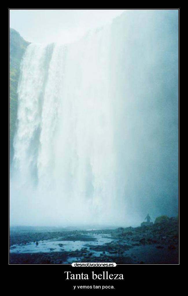 Tanta belleza - y vemos tan poca.
