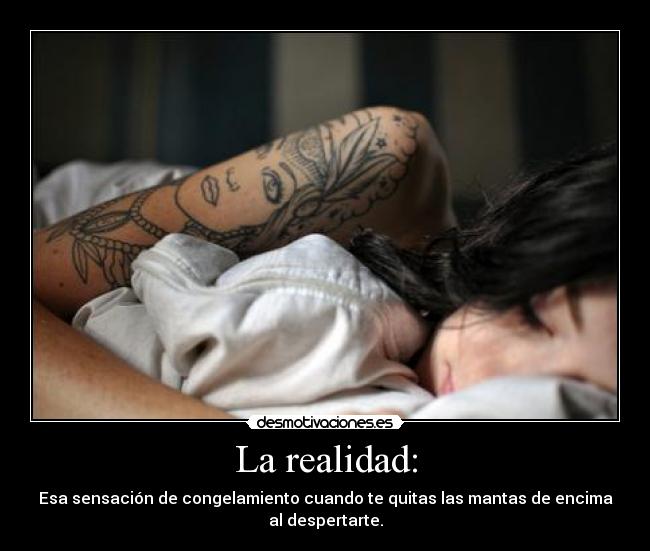 La realidad: - 