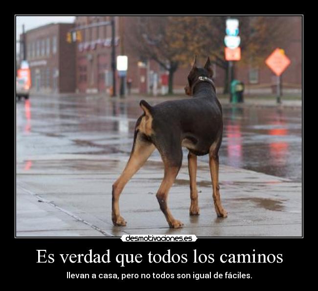 Es verdad que todos los caminos -