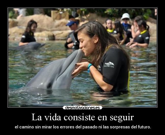La vida consiste en seguir - el camino sin mirar los errores del pasado ni las sorpresas del futuro.