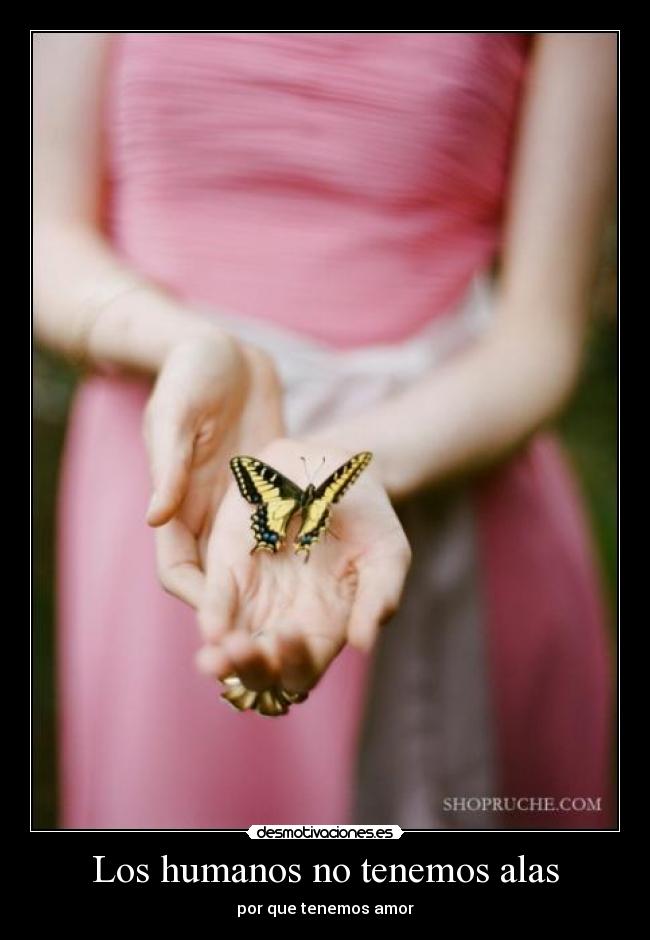 Los humanos no tenemos alas -