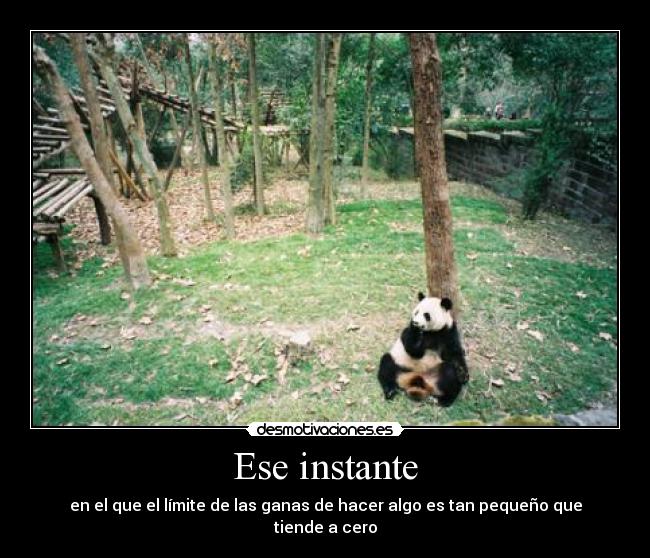 Ese instante - 