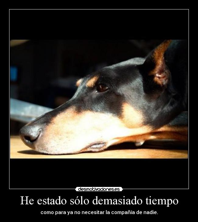He estado sólo demasiado tiempo -