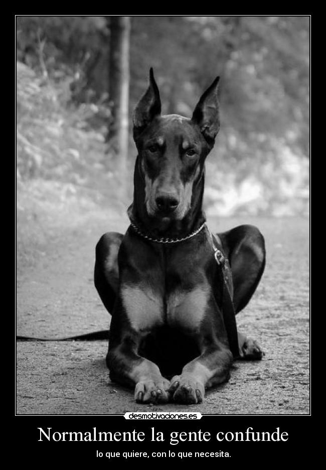 Normalmente la gente confunde -