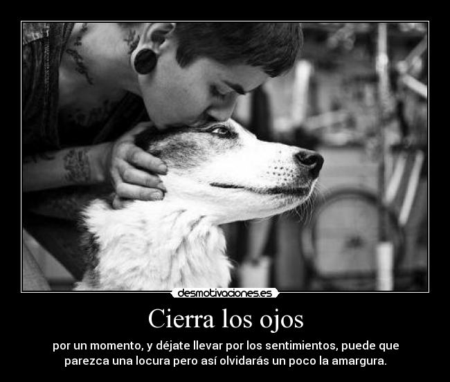 Cierra los ojos - por un momento, y déjate llevar por los sentimientos, puede que
parezca una locura pero así olvidarás un poco la amargura.