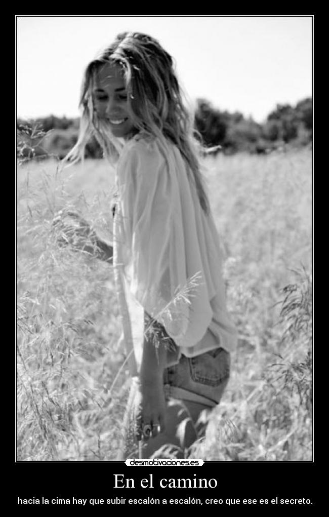 En el camino - hacia la cima hay que subir escalón a escalón, creo que ese es el secreto.