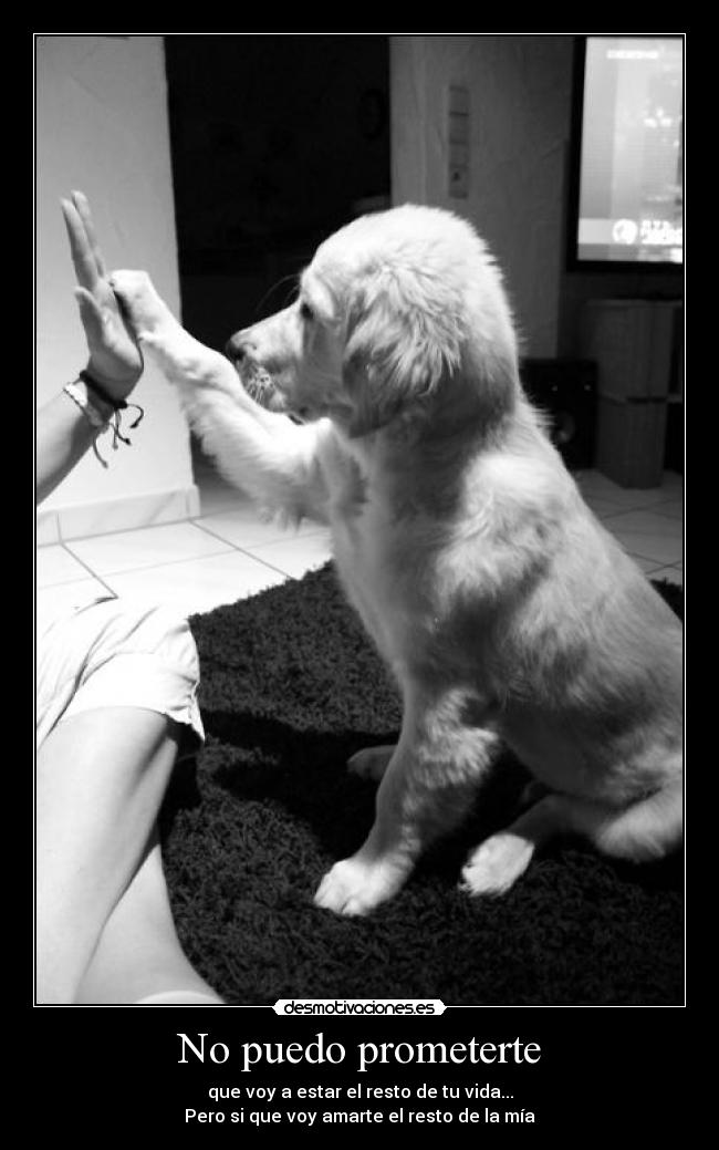 No puedo prometerte -