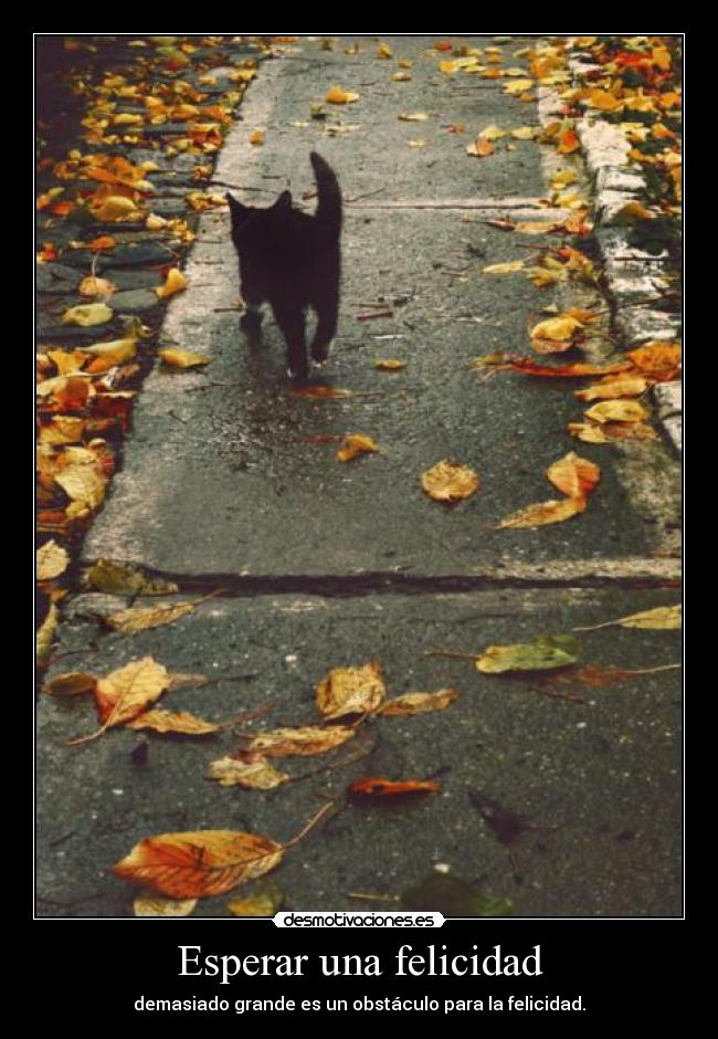 Esperar una felicidad - demasiado grande es un obstáculo para la felicidad.