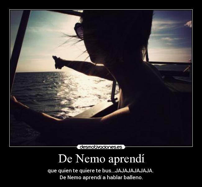 De Nemo aprendí - 