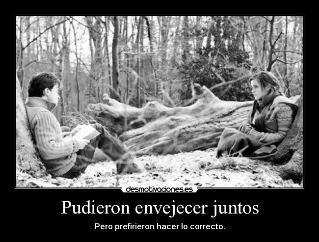 carteles harry hermione harmony desmotivaciones