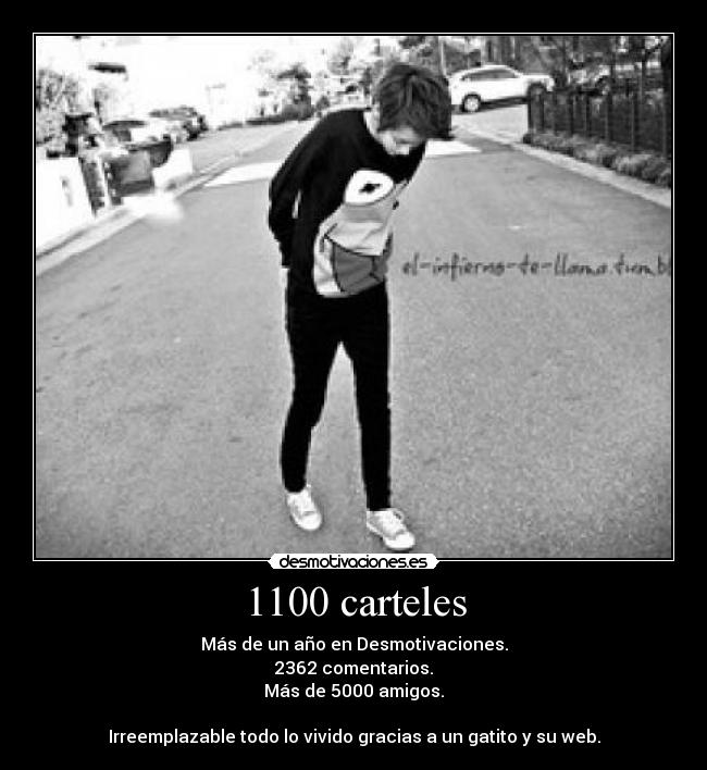 1100 carteles - Más de un año en Desmotivaciones.
2362 comentarios.
Más de 5000 amigos.

Irreemplazable todo lo vivido gracias a un gatito y su web.