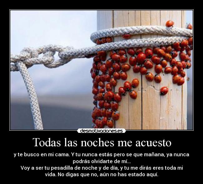 Todas las noches me acuesto - y te busco en mi cama. Y tu nunca estás pero se que mañana, ya nunca
podrás olvidarte de mí...
Voy a ser tu pesadilla de noche y de día, y tu me dirás eres toda mi
vida. No digas que no, aún no has estado aquí.