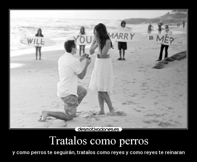 Tratalos como perros - y como perros te seguirán, tratalos como reyes y como reyes te reinaran