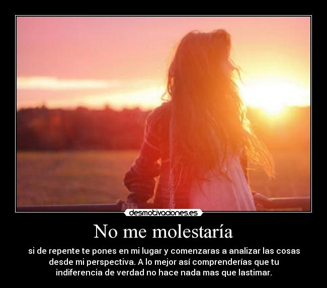 No me molestaría -