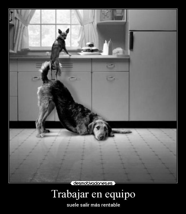 Trabajar en equipo - suele salir más rentable