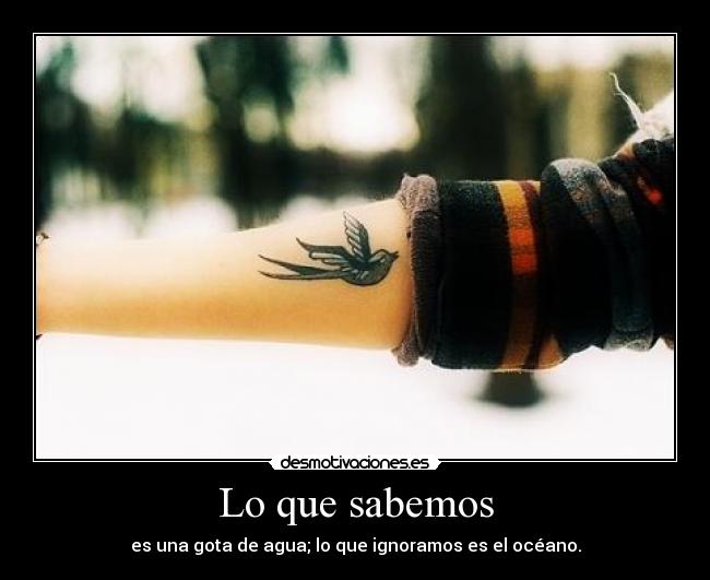 carteles base fundamento los comentarios soportan ver pobre hacerse millonario desmotivaciones