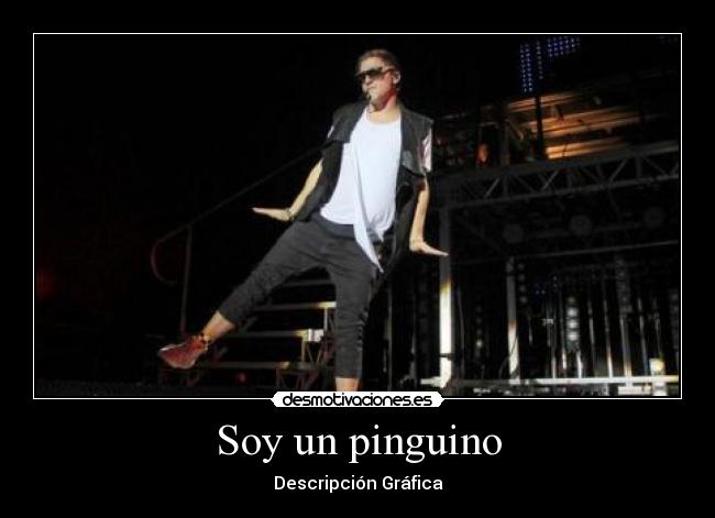 Soy un pinguino - Descripción Gráfica