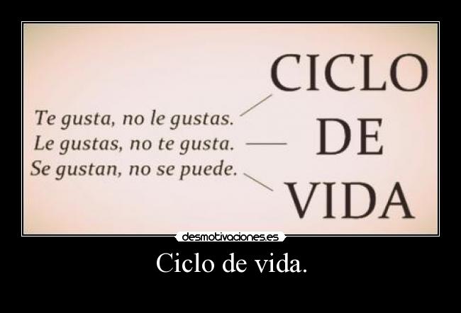 Ciclo de vida. -
