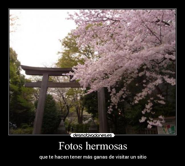 Fotos hermosas -