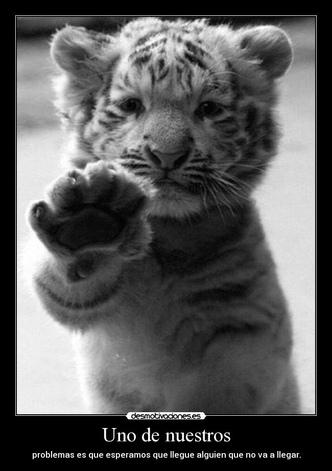 carteles sin ideas desmotivaciones