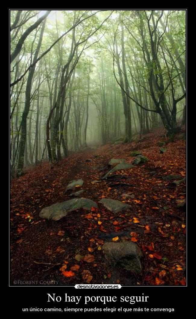 No hay porque seguir - un único camino, siempre puedes elegir el que más te convenga