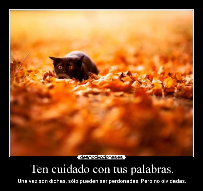 Ten cuidado con tus palabras. - Una vez son dichas, sólo pueden ser perdonadas. Pero no olvidadas.