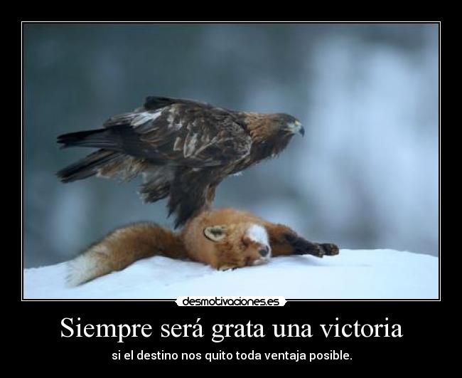 carteles pos aqui que tamos follar que surja bien come desmotivaciones