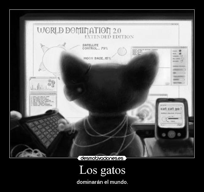 Los gatos - dominarán el mundo.