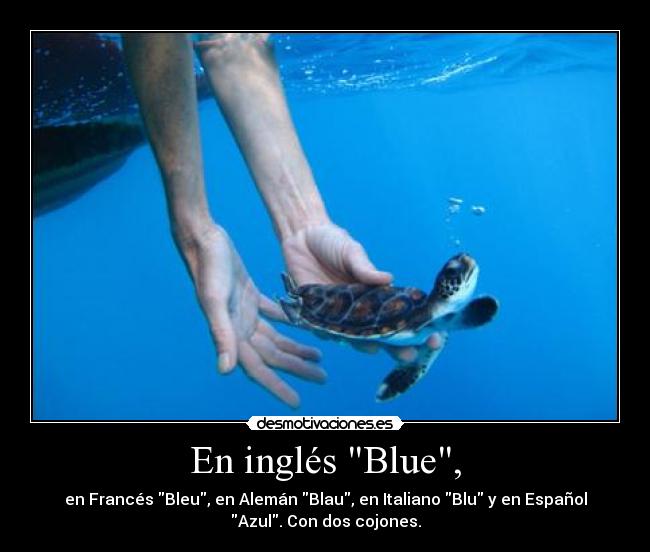 En inglés Blue, - en Francés Bleu, en Alemán Blau, en Italiano Blu y en Español
Azul. Con dos cojones.